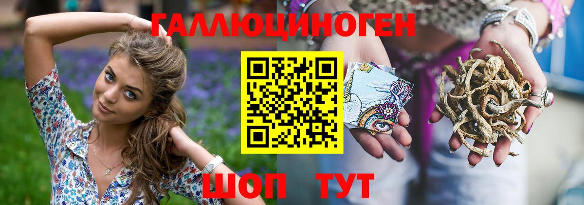 Азнакаево  закладка  Вход с VPN  Псилоцибиновые грибы Psilocybe 